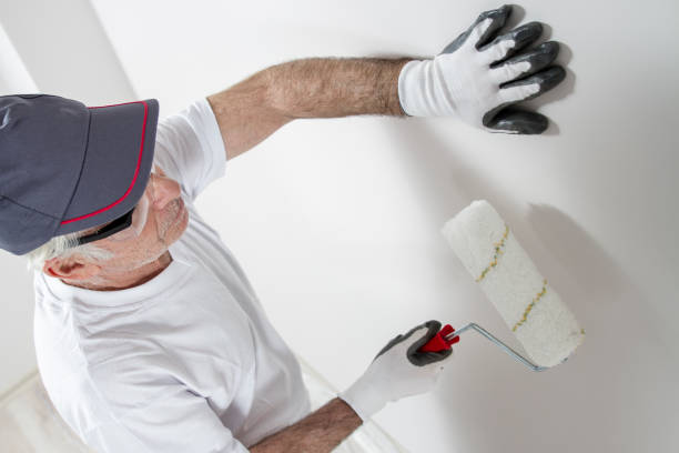 Best Mold Damage Restoration  in Mechanicville, NY
