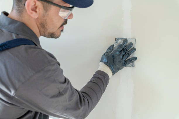 Best Comprehensive Air Testing for Mold Contaminants  in Mechanicville, NY