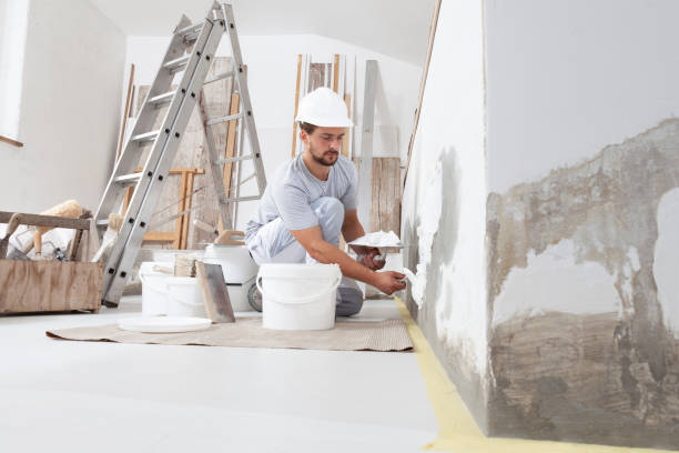 Best Emergency Mold Remediation  in Mechanicville, NY