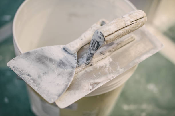 Best Black Mold Removal  in Mechanicville, NY
