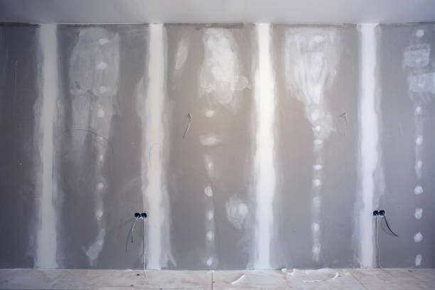 Best Attic Mold Removal  in Mechanicville, NY